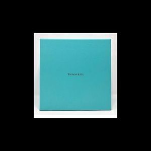 Tiffany & Co Somerset Collection Mesh Necklace